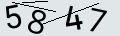verifycode